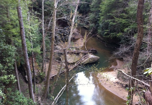 Clifty Wilderness, Red River Gorge
